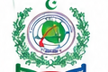 NESCOM logo
